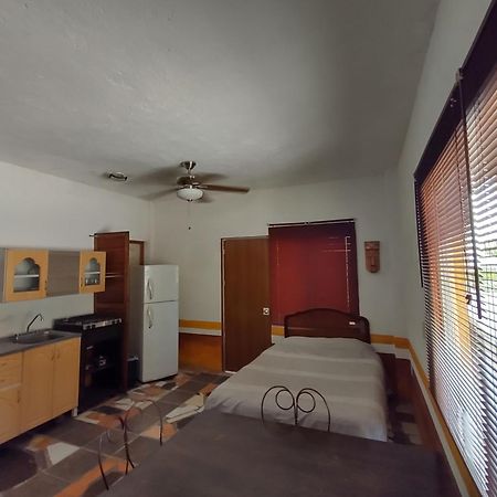 マンサニージョ Casa Artista Bed & Breakfast エクステリア 写真